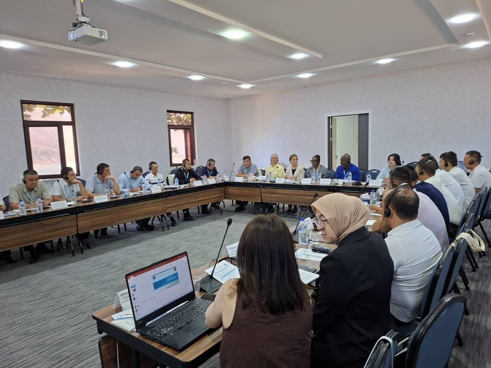 whatsapp image 2025 07 29 at 00.47.03 (3) copy